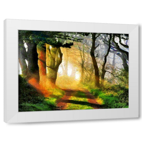 Sunshine between Trees White Modern Wood Framed Art Print by Medeiros, Celito