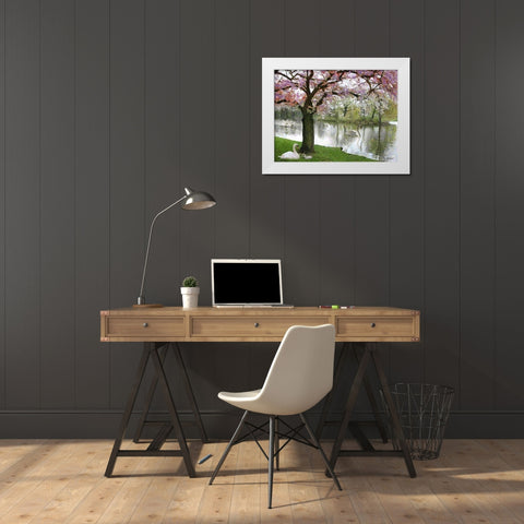 Swans in Spring White Modern Wood Framed Art Print by Medeiros, Celito