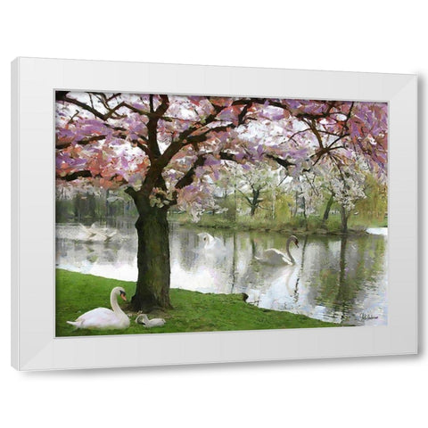 Swans in Spring White Modern Wood Framed Art Print by Medeiros, Celito