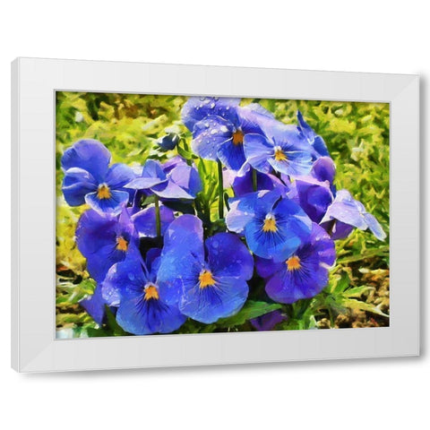 Pansies White Modern Wood Framed Art Print by Medeiros, Celito