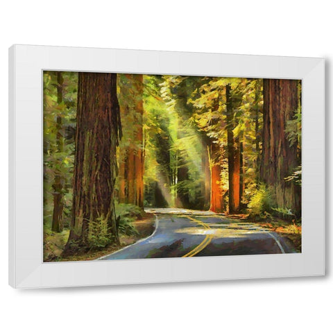 Street to The Sequoia NP White Modern Wood Framed Art Print by Medeiros, Celito