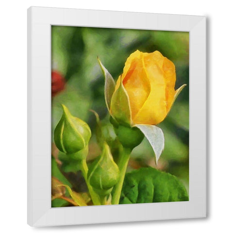 One Yellow Rose White Modern Wood Framed Art Print by Medeiros, Celito