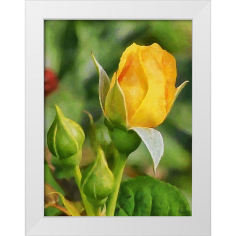 One Yellow Rose White Modern Wood Framed Art Print by Medeiros, Celito