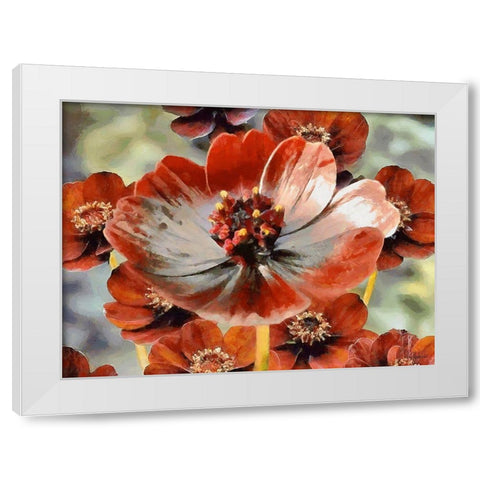 Red Poppies White Modern Wood Framed Art Print by Medeiros, Celito
