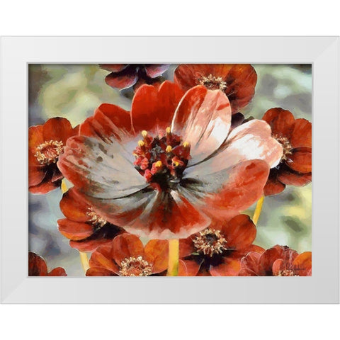 Red Poppies White Modern Wood Framed Art Print by Medeiros, Celito