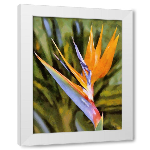 Beautiful Orchid I White Modern Wood Framed Art Print by Medeiros, Celito