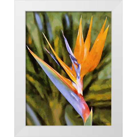 Beautiful Orchid I White Modern Wood Framed Art Print by Medeiros, Celito