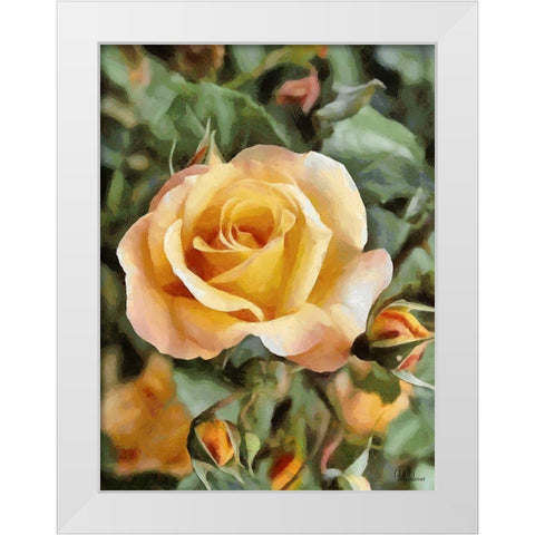 Yellow Roses White Modern Wood Framed Art Print by Medeiros, Celito