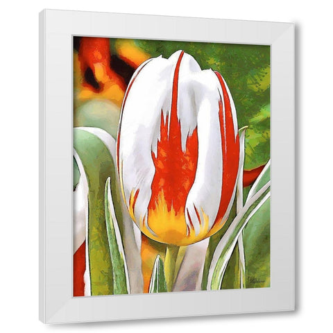 Tulip in White and Orange Colors White Modern Wood Framed Art Print by Medeiros, Celito
