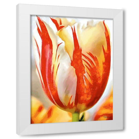Tulip in White and Orange Colors II White Modern Wood Framed Art Print by Medeiros, Celito