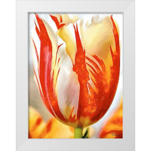Tulip in White and Orange Colors II White Modern Wood Framed Art Print by Medeiros, Celito