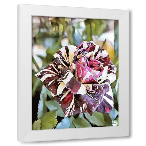 Tulip in White and Purple Colors White Modern Wood Framed Art Print by Medeiros, Celito