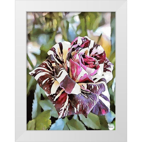 Tulip in White and Purple Colors White Modern Wood Framed Art Print by Medeiros, Celito