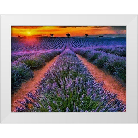 Lavender Field IV White Modern Wood Framed Art Print by Medeiros, Celito