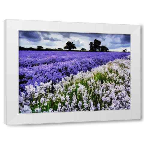 Lavender Field VI White Modern Wood Framed Art Print by Medeiros, Celito
