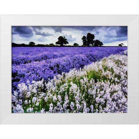 Lavender Field VI White Modern Wood Framed Art Print by Medeiros, Celito