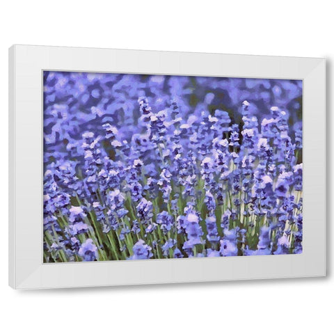 Lavender Field IX White Modern Wood Framed Art Print by Medeiros, Celito