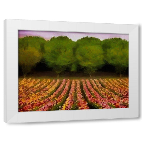Flower Field II White Modern Wood Framed Art Print by Medeiros, Celito
