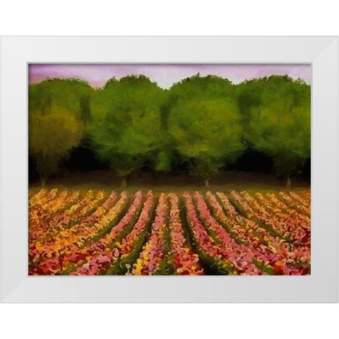 Flower Field II White Modern Wood Framed Art Print by Medeiros, Celito