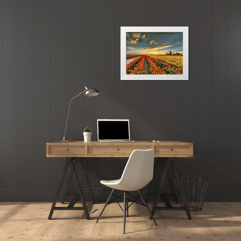 Tulip Field I White Modern Wood Framed Art Print by Medeiros, Celito