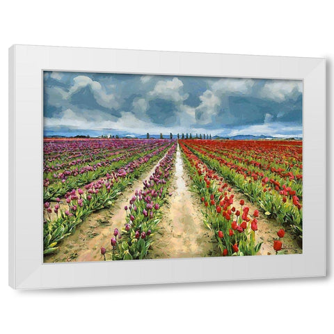 Tulip Field II White Modern Wood Framed Art Print by Medeiros, Celito
