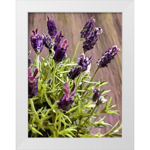 Purple Flower I White Modern Wood Framed Art Print by Medeiros, Celito
