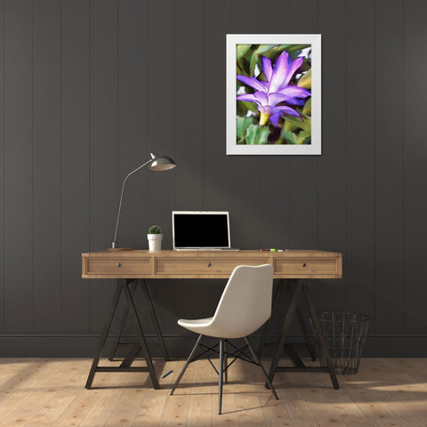 Cactus Flower I White Modern Wood Framed Art Print by Medeiros, Celito