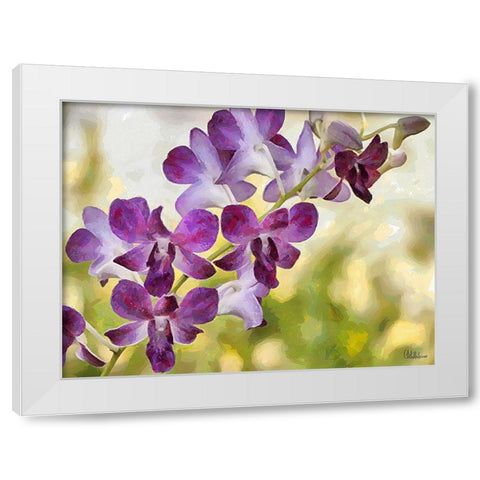 Orchids XII White Modern Wood Framed Art Print by Medeiros, Celito
