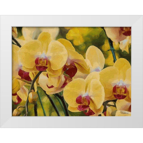 Orchids XIII White Modern Wood Framed Art Print by Medeiros, Celito