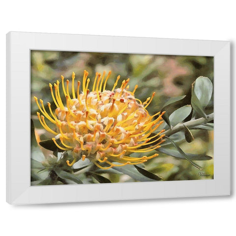 OrchidsXIV White Modern Wood Framed Art Print by Medeiros, Celito