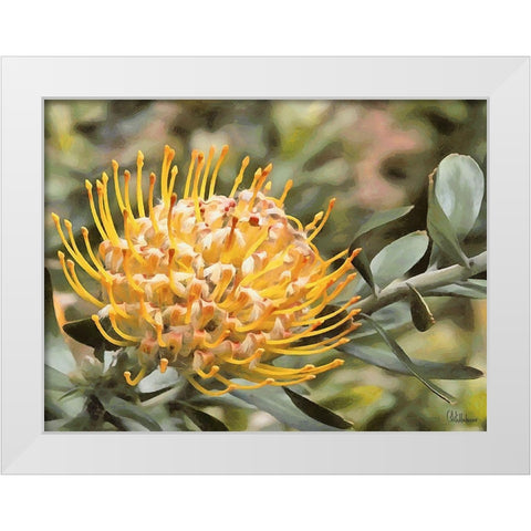 OrchidsXIV White Modern Wood Framed Art Print by Medeiros, Celito