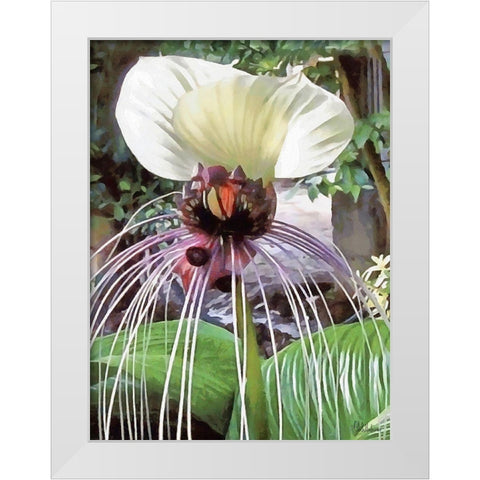 Orchids XVII White Modern Wood Framed Art Print by Medeiros, Celito