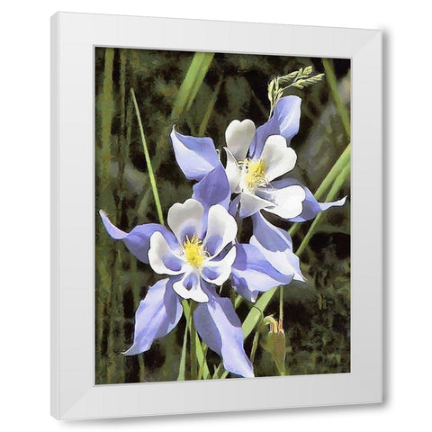 Orchids XVIII White Modern Wood Framed Art Print by Medeiros, Celito