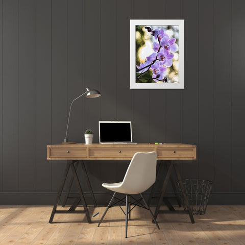 Orchids XIX White Modern Wood Framed Art Print by Medeiros, Celito