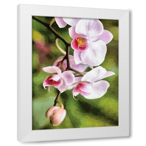 Orchids XXI White Modern Wood Framed Art Print by Medeiros, Celito