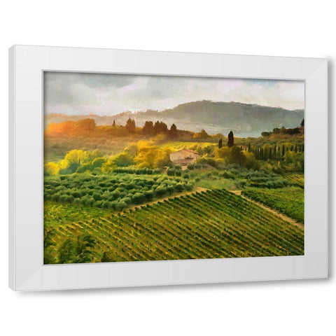 Tuscany Vineyeard White Modern Wood Framed Art Print by Medeiros, Celito