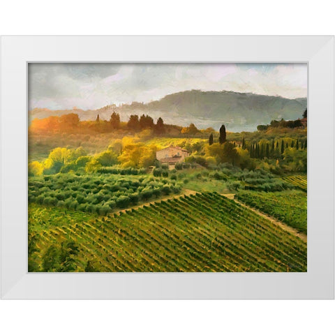 Tuscany Vineyeard White Modern Wood Framed Art Print by Medeiros, Celito