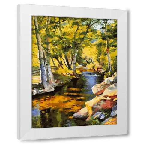 Creek with Rocks White Modern Wood Framed Art Print by Medeiros, Celito