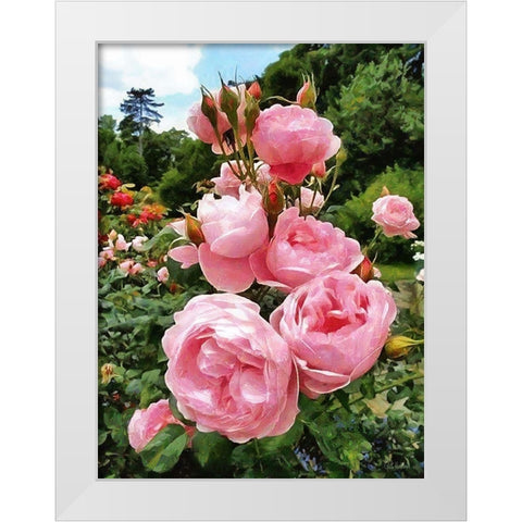 Pink Roses White Modern Wood Framed Art Print by Medeiros, Celito