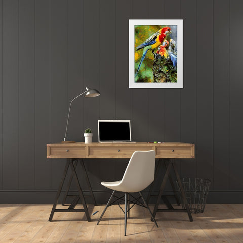 Parrot Family White Modern Wood Framed Art Print by Medeiros, Celito