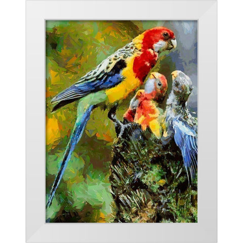 Parrot Family White Modern Wood Framed Art Print by Medeiros, Celito