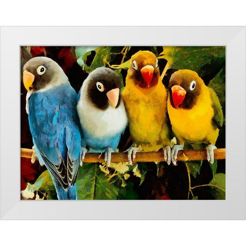 Four Parrots White Modern Wood Framed Art Print by Medeiros, Celito