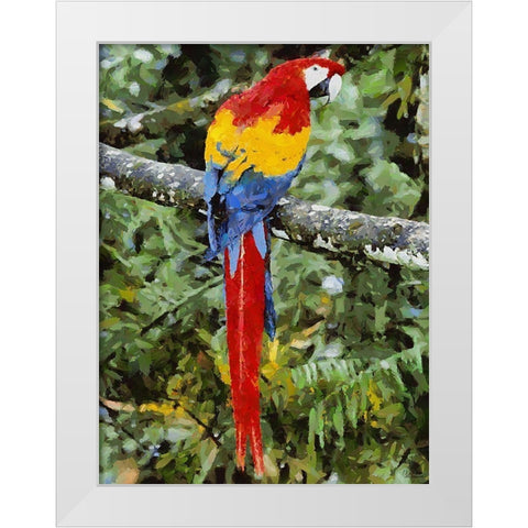 Red, Yellow and Blue Parrot White Modern Wood Framed Art Print by Medeiros, Celito