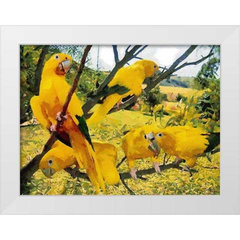 Five Yellow Parrots White Modern Wood Framed Art Print by Medeiros, Celito