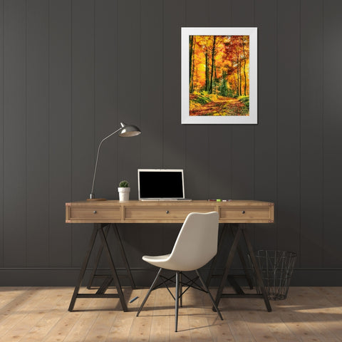 Autumn Walk in the Wood II White Modern Wood Framed Art Print by Medeiros, Celito