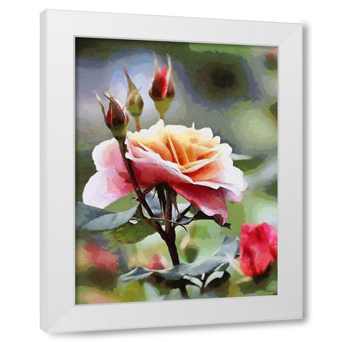 Rose White Modern Wood Framed Art Print by Medeiros, Celito