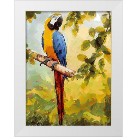 One Big Parrot White Modern Wood Framed Art Print by Medeiros, Celito