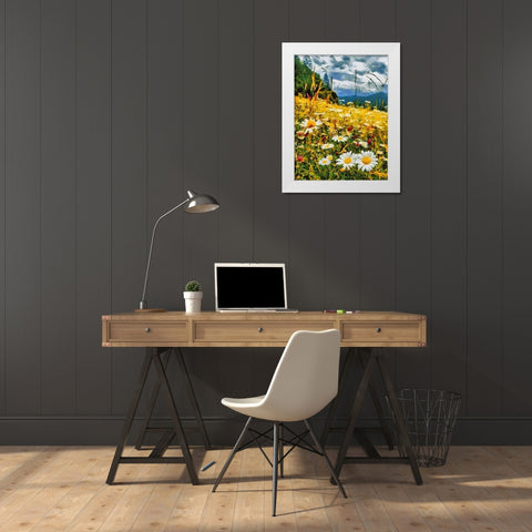 Meadow with Daisies I White Modern Wood Framed Art Print by Medeiros, Celito