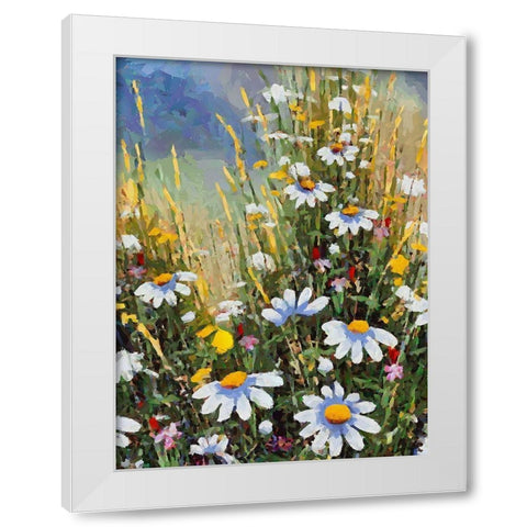 Meadow with Daisies II White Modern Wood Framed Art Print by Medeiros, Celito