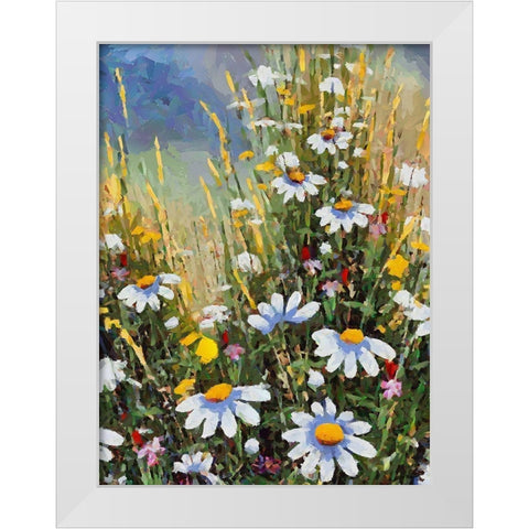 Meadow with Daisies II White Modern Wood Framed Art Print by Medeiros, Celito